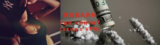ECSTASY Бородино