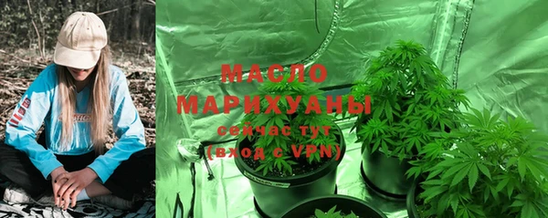 ECSTASY Бородино