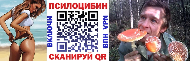 Галлюциногенные грибы MAGIC MUSHROOMS  где найти наркотики  Чудово 